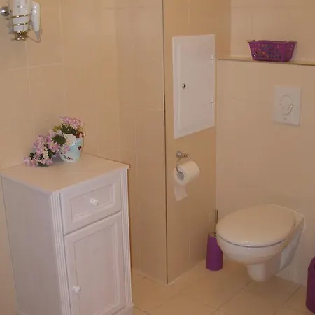 Apartmán U Lázní Aurora